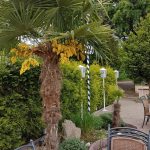 Biergarten wie im Süden Rhein-Main-Terrasse