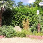 Rhein-Main-Terrasse Biergarten